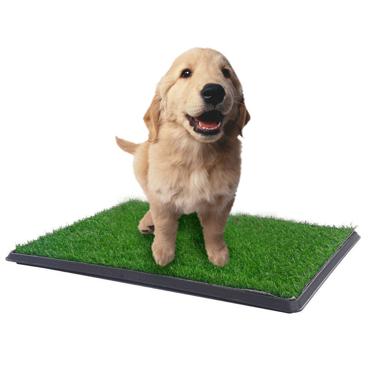 64x51CM Indoor Pet Potty Training Mat