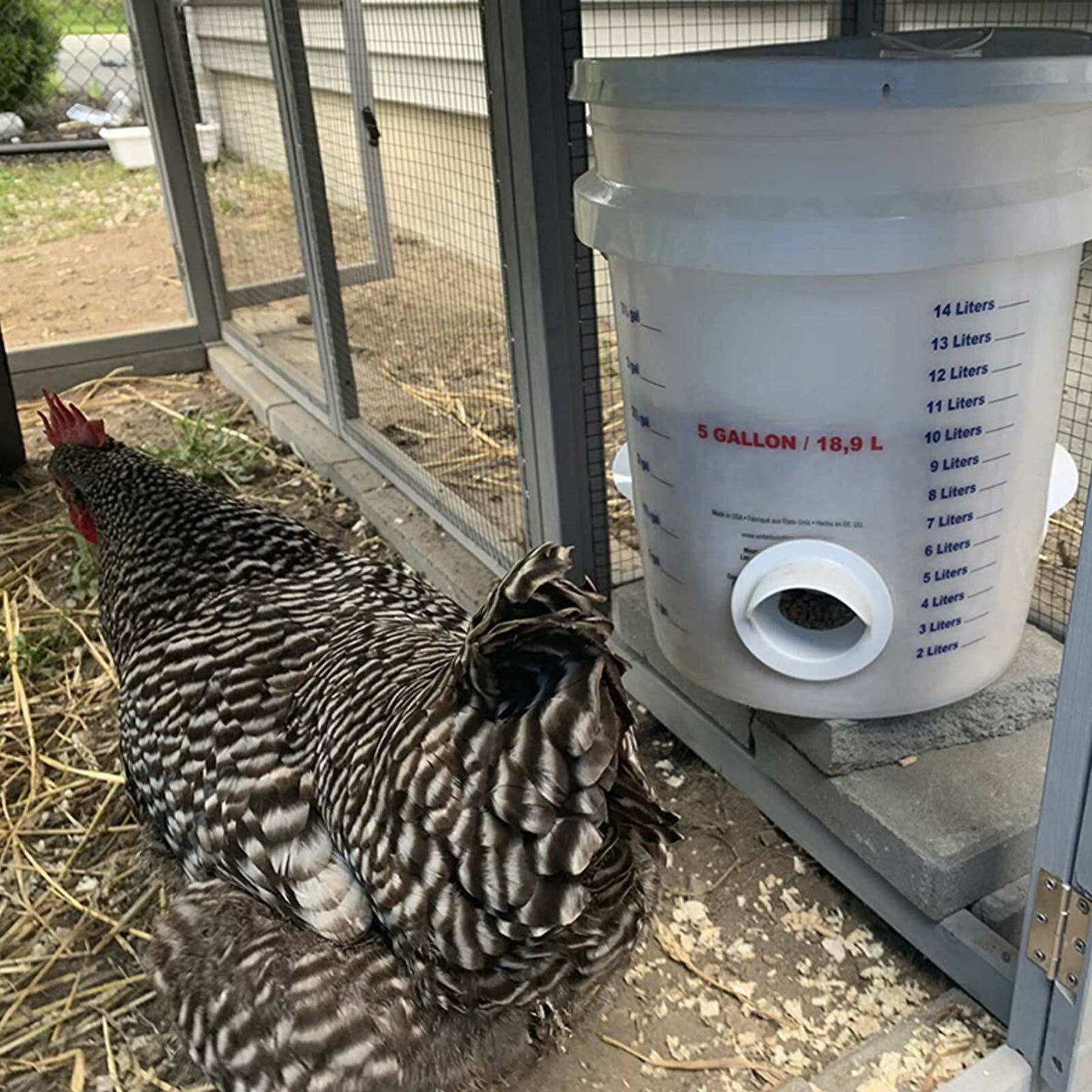 CLEARANCE- Chicken Feeder Poultry Pro Feeder DIY Port PVC Gravity Fed Chicken Feeder