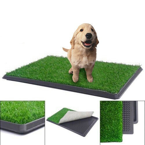 64x51CM Indoor Pet Potty Training Mat